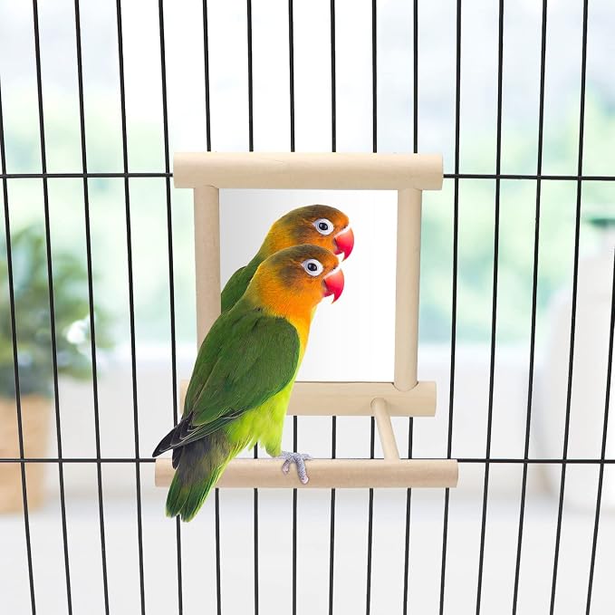 Bird Mirror with Perch Bird Toys - Image 2