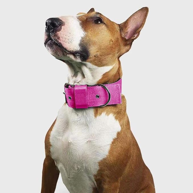 Heavy Duty Tactical Dog Collar - Image 6