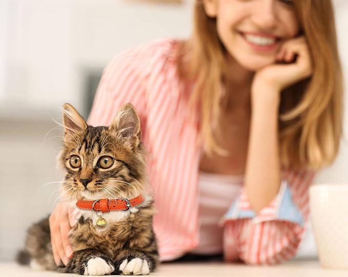 3 Pack Leather Cat Collars - Image 7
