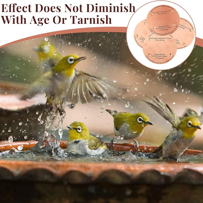 8 Pcs Bird Bath Copper Disk, 0.6mm Thick Reinforced 99.99% Pure Copper Birdbath - Image 4