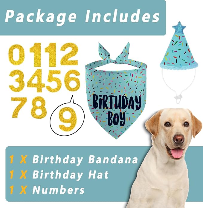 Dog Birthday Bandana Set, Light Blue Birthday Boy Decorations, HBD Party - Image 3