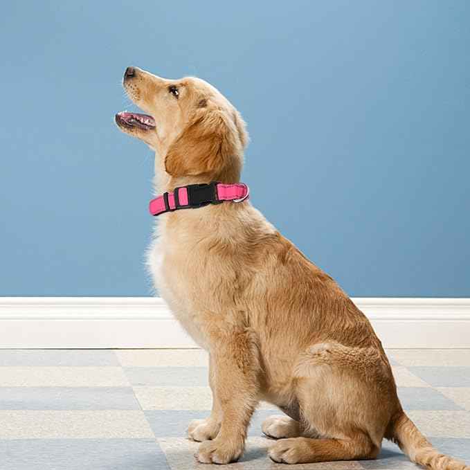 Reflective Dog Collar, Adjustable Soft Neoprene Padded Nylon Pet Collars