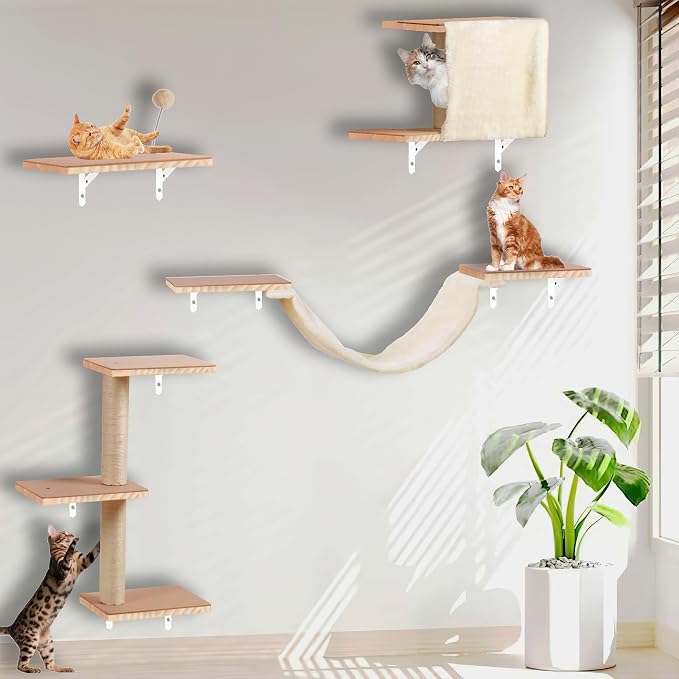 Cat Shelves for Wall，Solid Wood Cat Wall Furniture by MADNIU