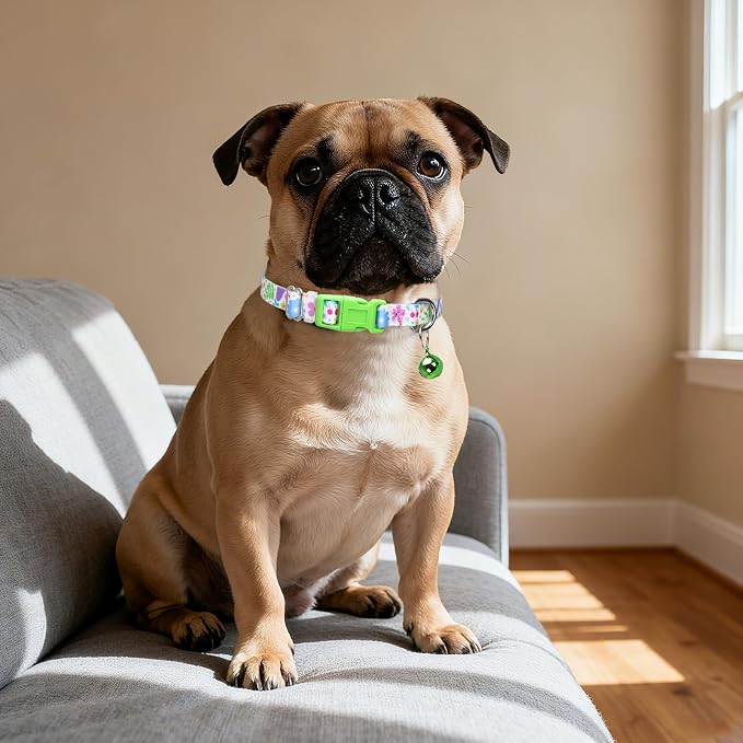 Small Dog Collar with Bell，Nylon - Image 5