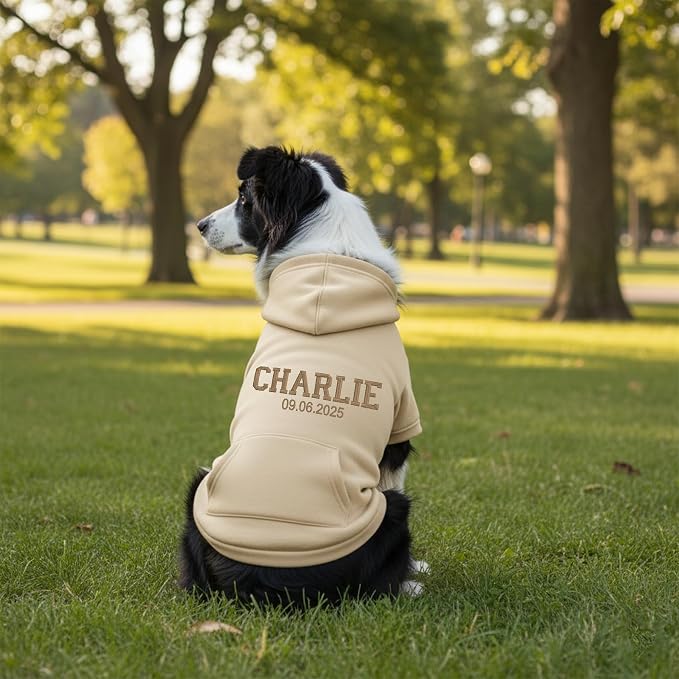 Personalized Dog Hoodie, Custom Embroidered Name Pet Hoodie, Warm Winter Outfit - Image 5