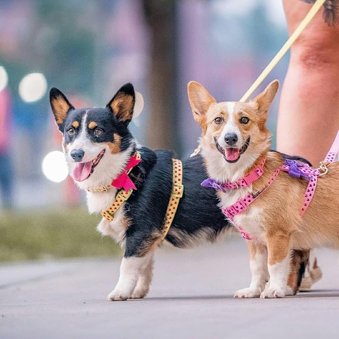 Blueberry Pet Adjustable Flocking Dog Collar - Image 7