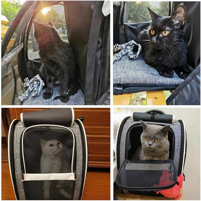 Texsens Pet Carrier Backpack - Image 6