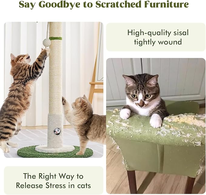 Cat Scratching Post for Indoor Cats and Kitten - Image 5