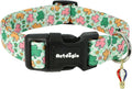 St. Patrick's Day Dog Collar, Puppy Collar by Unknown