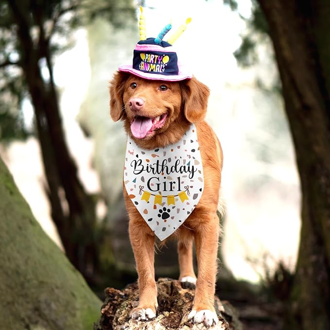 Dog Birthday Bandana Party Supplies Photo Prop Puppy Happy Birthday Dog Pet - Image 5