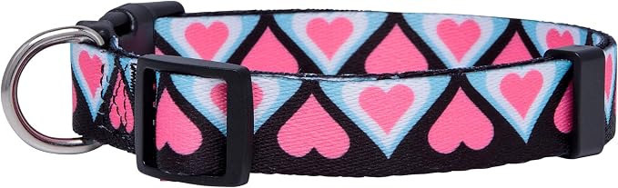Native Pup Valentine’s Dog Collar- Valentines Day Pet Collars- Valentine Girly - Image 2