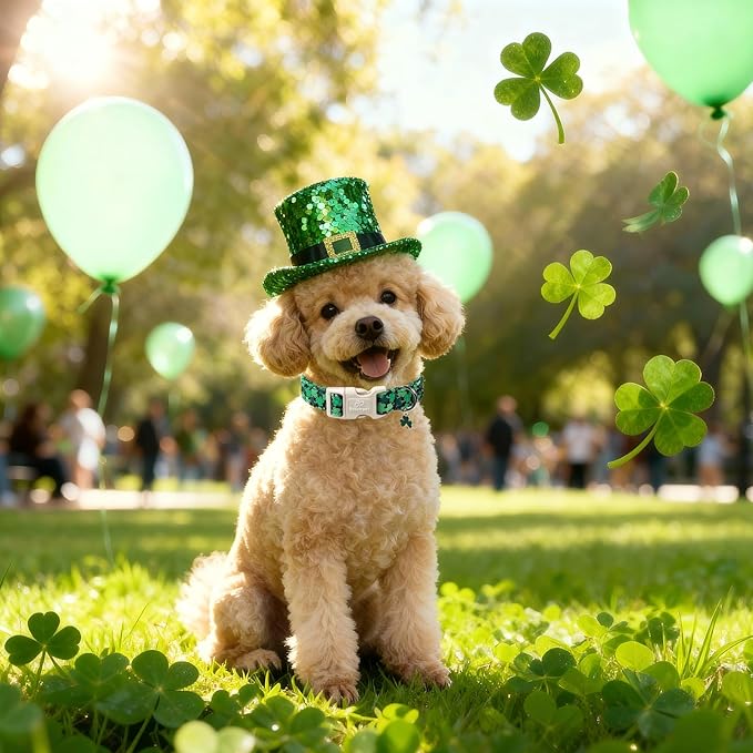 St Patricks Day Dog Collar for Puppy Small Dogs - Image 2