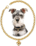 HOWWFALY Dog Collar and Cat Chain Necklace Stainless Steel Adjustable 18K Gold by HOWWFALY