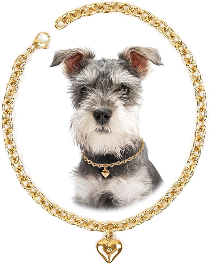 HOWWFALY Dog Collar and Cat Chain Necklace Stainless Steel Adjustable 18K Gold by HOWWFALY