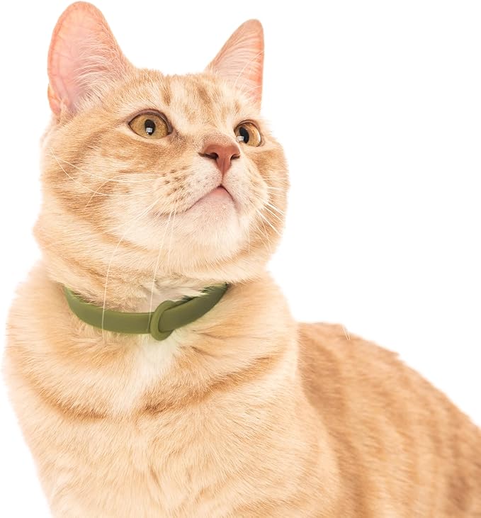 Breakaway Cat Collar - Image 6