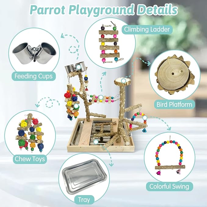PINVNBY Bird Playground Natural Wood Parrot Perch Stand Bird Play Gym Colorful - Image 3