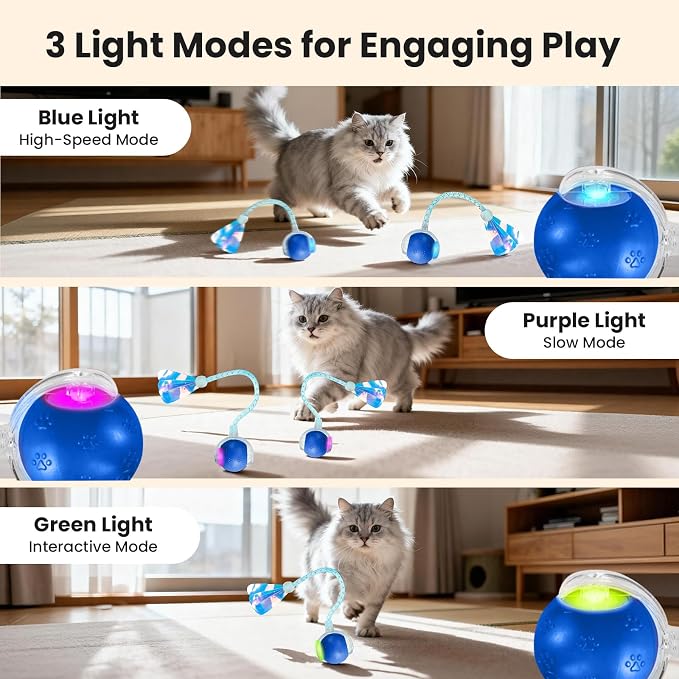 Rocfish Durable Interactive Cat Toys - Image 3
