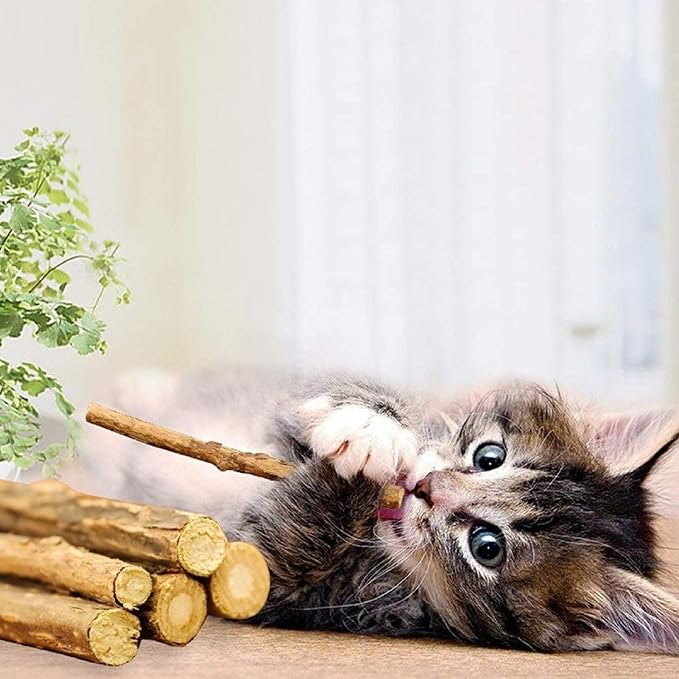 Silvervine Sticks for Cats, Natural Catnip Matatabi Chew Sticks Teeth Molar - Image 2