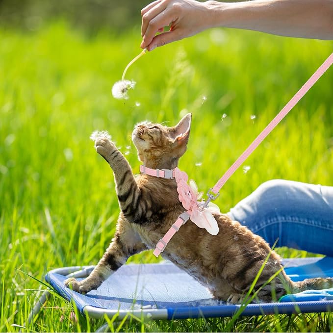 TIESOME Cat Harness and Leash Set, Adjustable Gradient Kitten Harness Escape - Image 5