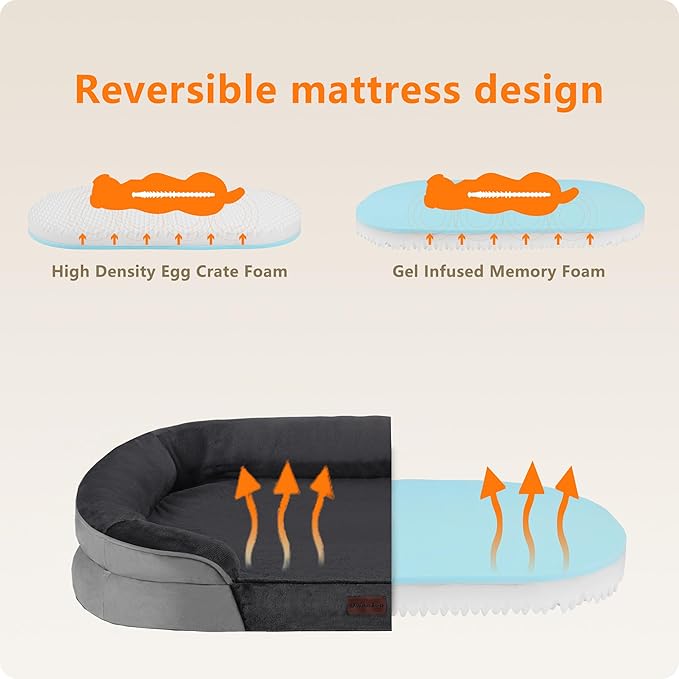 Dwanton Orthopedic Dog Bed for Medium Dogs - Image 3