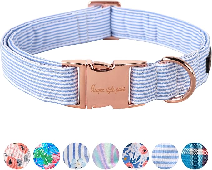 Unique Style Paws Blue Stripe Dog Collar Metal Buckle Gift Cute Collar by Uniquestylepaws