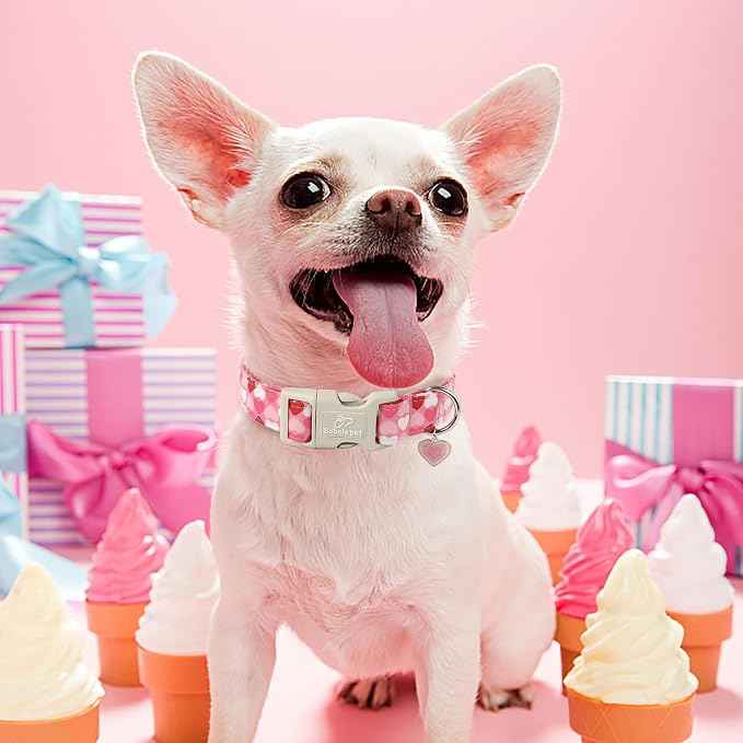Valentines Dog Collar for Small Dogs