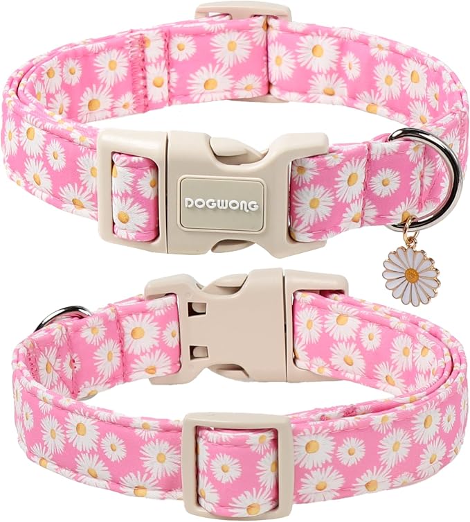 DOGWONG Flower Dog Collar-Daisy Flower Print Girl Dog Collar - Image 2