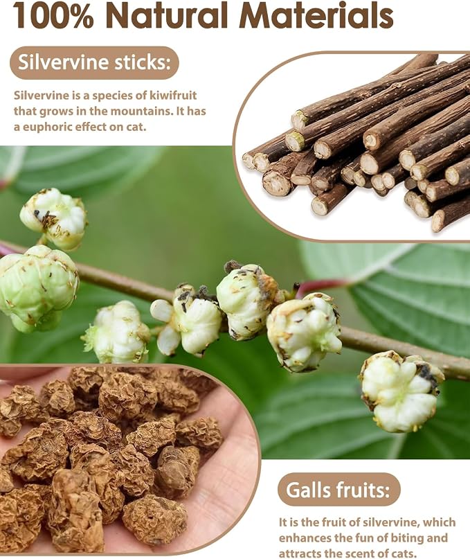 Tocirelo Catnip Toys Silvervine Sticks - Image 2