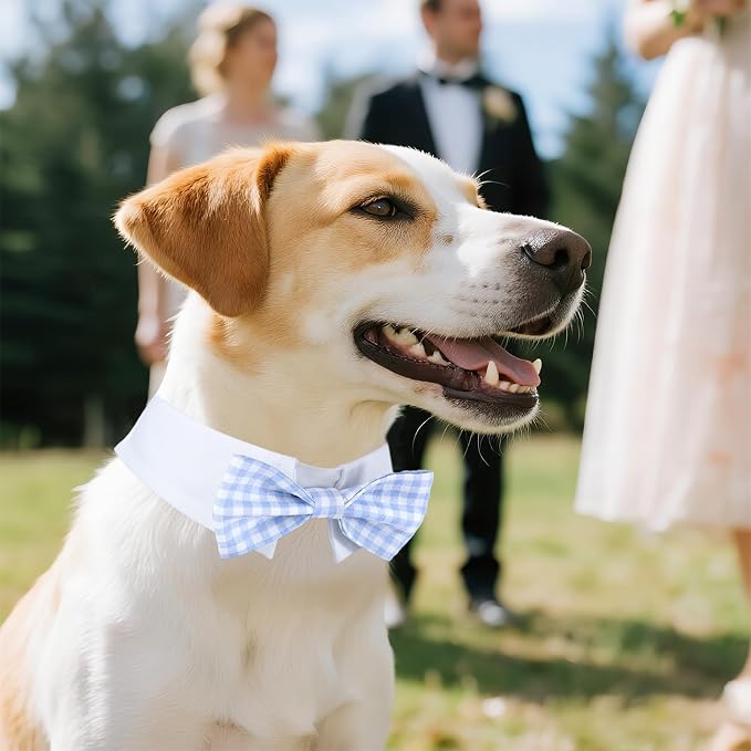 Segarty Dog Bow Tie for Neck Girth 10.2-12.6in, Adjustable Light Blue Plaid - Image 5