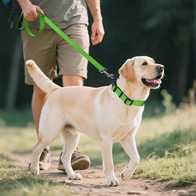 Joytale Reflective Dog Collar, Soft Neoprene Padded, Metal D-Ring, Nylon Pet - Image 7