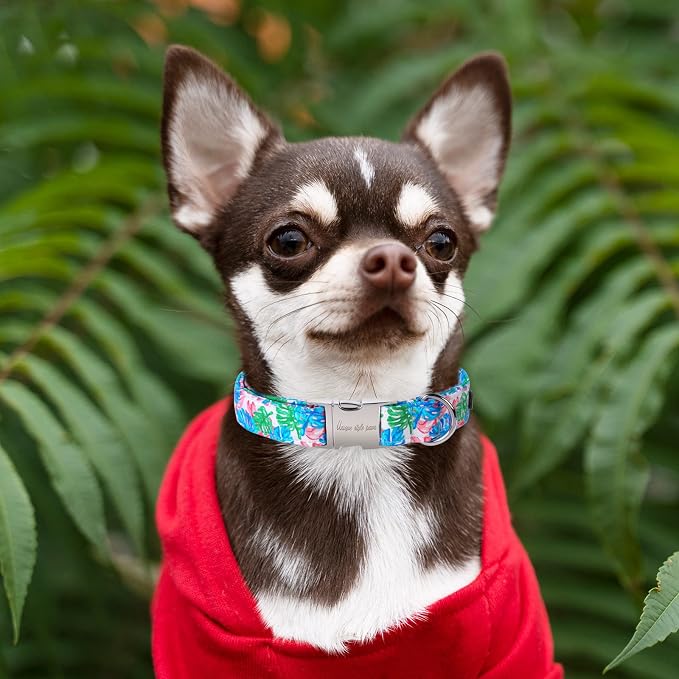 Unique style paws Dog Collar Metal Buckle Painting Banana Leaves Collar Gift - Image 4