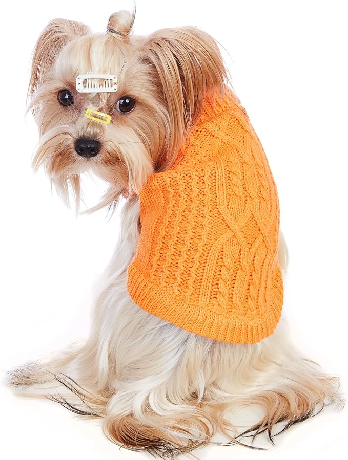 Stretchy Cat Sweater - Image 4