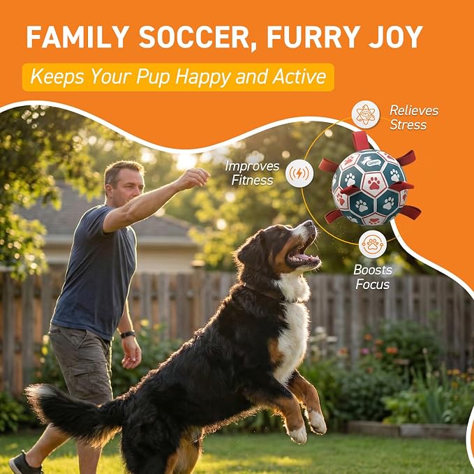 QDAN Dog Toys Soccer Ball with Straps, Durable Giant Dog Balls, Outdoor Dogs - Image 2