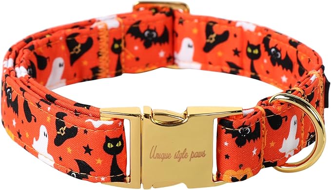 Unique style paws Dog Collar Metal Buckle Collar by Uniquestylepaws