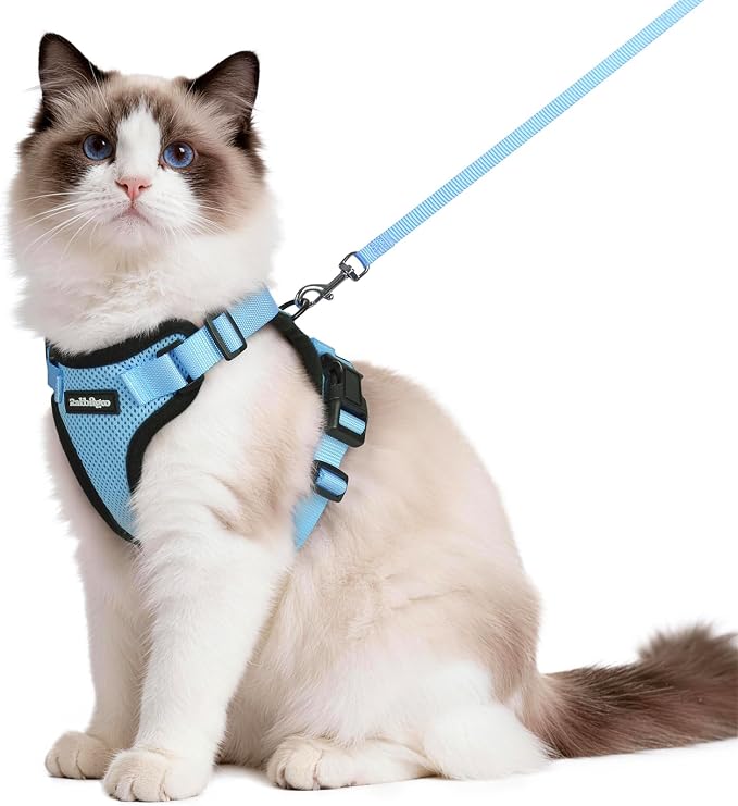 rabbitgoo Cat Harness and Leash by rabbitgoo