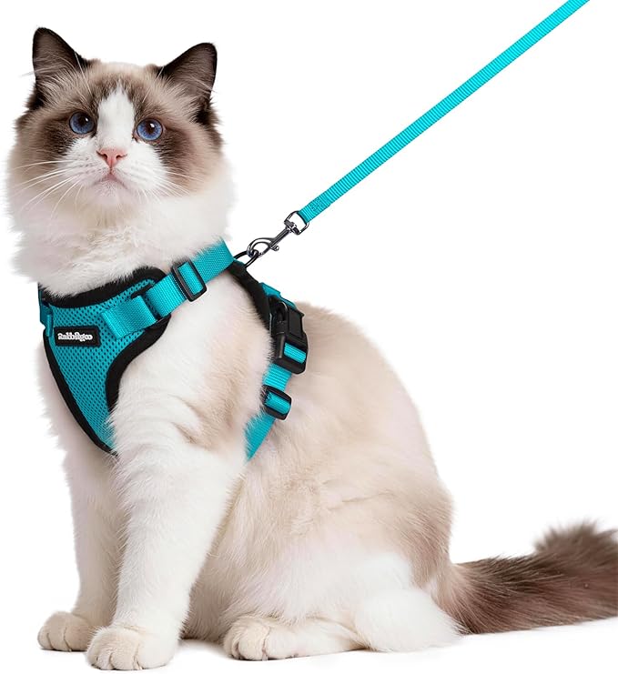 rabbitgoo Cat Harness and Leash by rabbitgoo