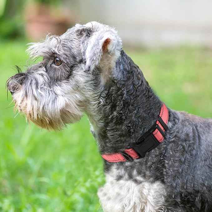 Joytale Reflective Dog Collar, Soft Neoprene Padded, Metal D-Ring, Nylon Pet
