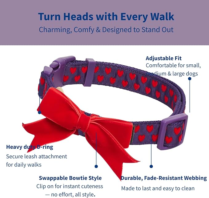 Blueberry Pet Adjustable Flocking Dog Collar - Image 2