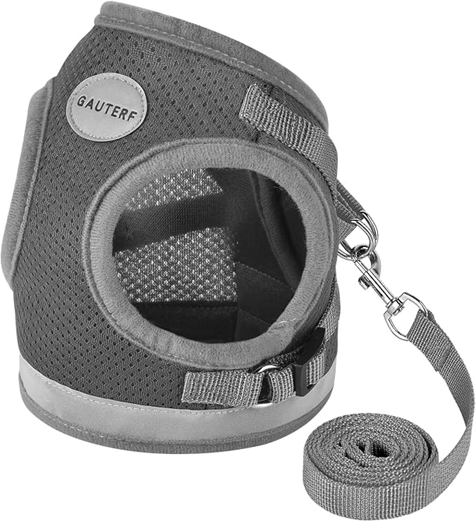 Cat Harnesses and Puppy Harness by GAUTERF