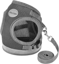 Cat Harnesses and Puppy Harness by GAUTERF