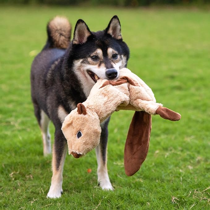 Best Pet Supplies Squeaky Dog Toys - Image 10