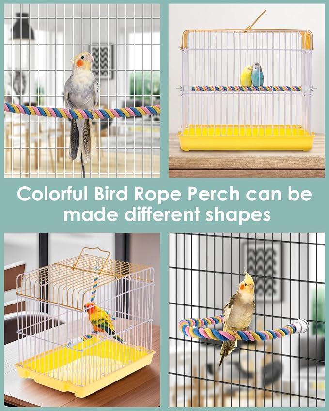 Bissap Conure Toys - Image 5