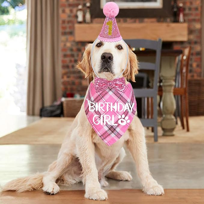 STMK Dog Birthday Outfits - Image 2