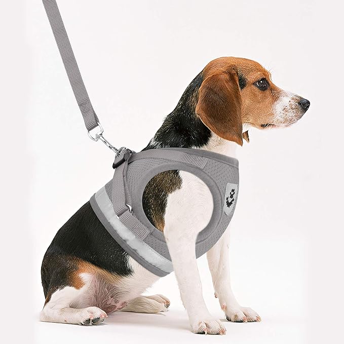 Cat Harnesses and Puppy Harness - Image 2