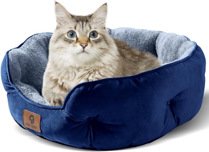 Asvin Medium Dog Bed for Medium Dogs, Large Cat Beds for Indoor Cats, Pet Bed - Image 2
