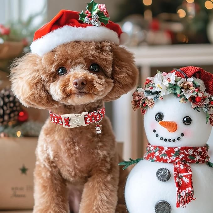 Christmas Dog Collar - Image 6