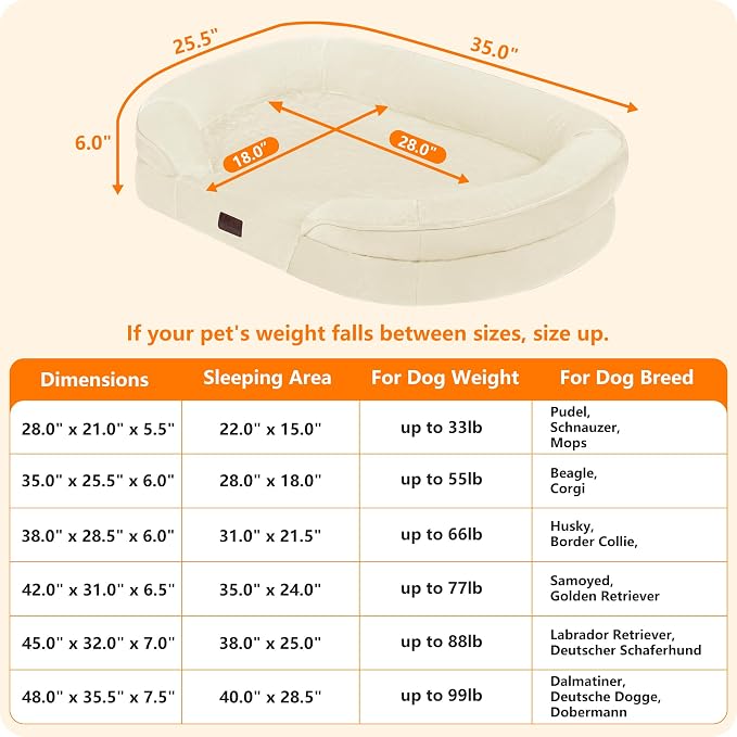 Dwanton Orthopedic Dog Bed for Medium Dogs - Image 4