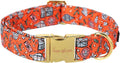 Unique style paws Dog Collar Metal Buckle Puppy Collar by Uniquestylepaws