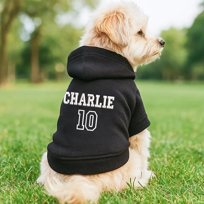 Noni Personalized Name and Number Dog Hoodie, Embroidered Puppy Sweater - Image 3