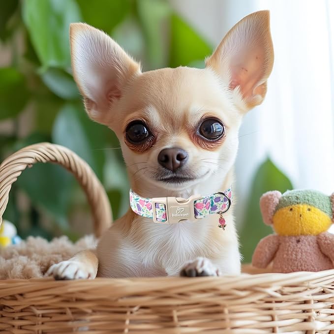 Floral Dog Collar for Medium Dogs - Image 6
